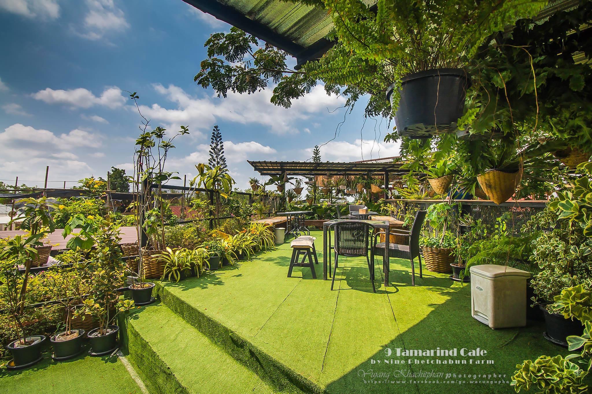 บรรยากาศฟาร์ม 11