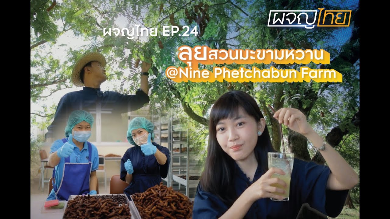 รายการผจญไทย EP. 24 Nine Tamarind
